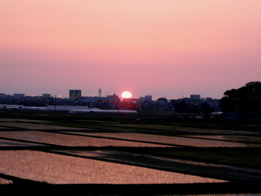 地平線に沈む夕日