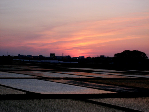 沈んだ夕日