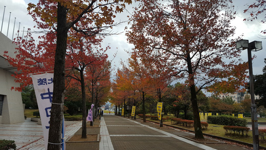2016松任ロードレース松任運動公園の紅葉 2016松任ロードレース松任運動公園の紅葉