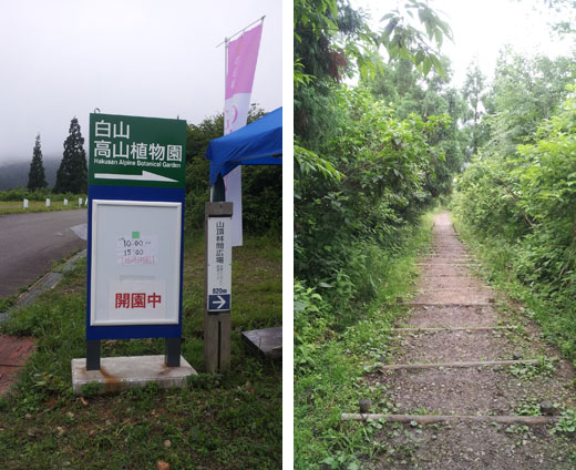 白山高山植物公園の入口と坂道 白山高山植物公園の入口と坂道