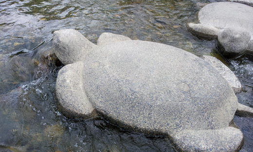 鴨川デルタの亀の石