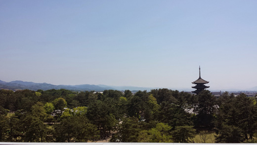 県庁屋上から興福寺