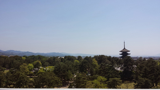県庁屋上から興福寺 県庁屋上から興福寺
