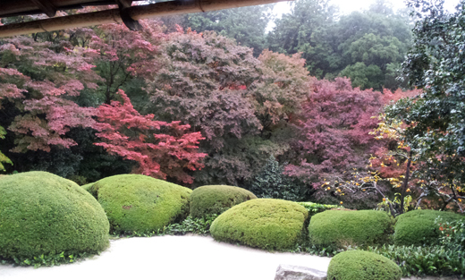 紅葉の詩仙堂 紅葉の詩仙堂