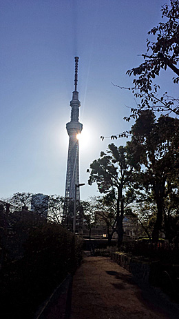 朝日と東京スカイツリー