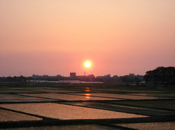 オフィスからの夕日