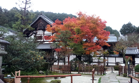 京都圓光寺