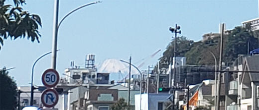 13km根岸付近の富士山はここだよ